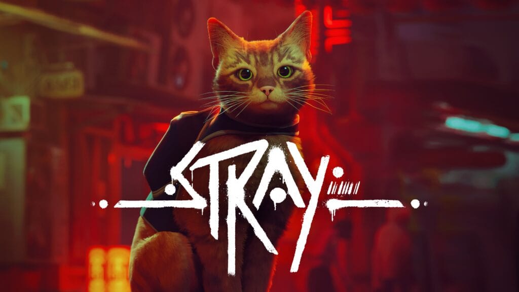 stray review